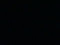 Webcam Borsum