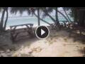 Webcam Anse Parnel (Mahé)