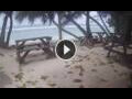 Webcam Anse Parnel (Mahé)