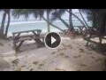 Webcam Anse Parnel (Mahé)