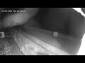 Webcam Dymchurch