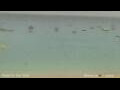 Webcam Santa Maria