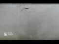 Webcam Halifax