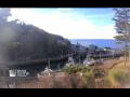 Webcam Halls Harbour