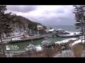 Webcam Halls Harbour