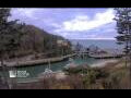 Webcam Halls Harbour