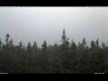 Webcam Bald Rock