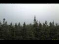 Webcam Bald Rock