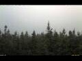 Webcam Bald Rock