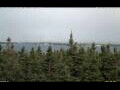Webcam Bald Rock