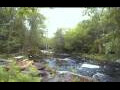 Webcam Caledonia
