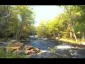 Webcam Caledonia