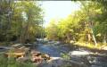 Webcam Caledonia