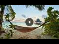 Webcam Finolhu (Atollo Baa): Stream HD Spiaggia di Finolhu