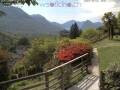 Webcam Lugano