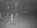 Webcam Punta Cana