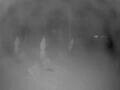 Webcam Punta Cana