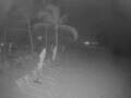 Webcam Punta Cana