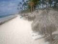 Webcam Punta Cana