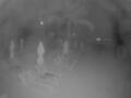 Webcam Punta Cana