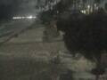Webcam Punta Cana