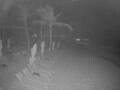 Webcam Punta Cana