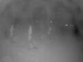 Webcam Punta Cana
