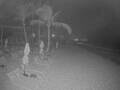 Webcam Punta Cana