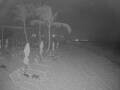 Webcam Punta Cana