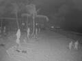Webcam Punta Cana