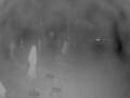 Webcam Punta Cana