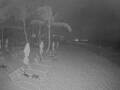 Webcam Punta Cana
