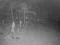 Webcam Punta Cana