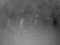 Webcam Punta Cana