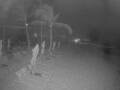 Webcam Punta Cana