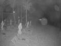 Webcam Punta Cana