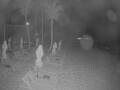 Webcam Punta Cana