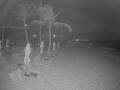 Webcam Punta Cana