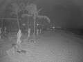 Webcam Punta Cana