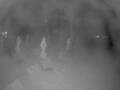 Webcam Punta Cana
