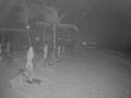 Webcam Punta Cana