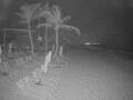 Webcam Punta Cana