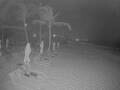 Webcam Punta Cana