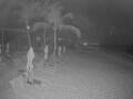 Webcam Punta Cana