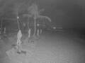 Webcam Punta Cana