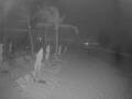 Webcam Punta Cana