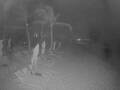 Webcam Punta Cana