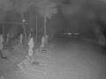 Webcam Punta Cana