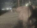 Webcam Punta Cana
