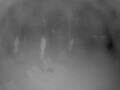 Webcam Punta Cana